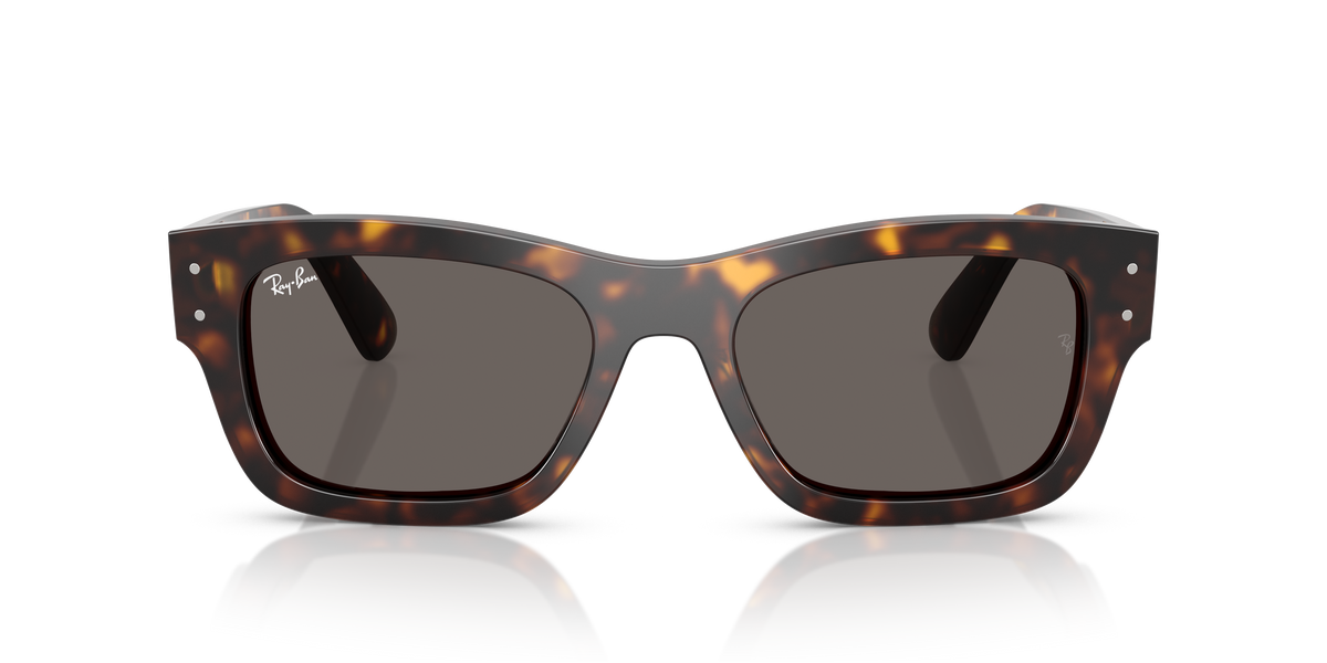 Ray-Ban Joseph RB7683S 902/B1