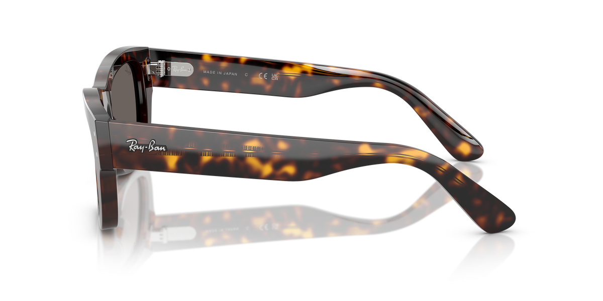 Ray-Ban Joseph RB7683S 902/B1