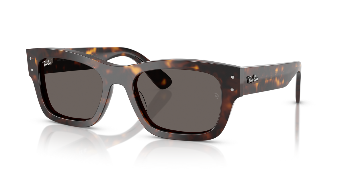 Ray-Ban Joseph RB7683S 902/B1