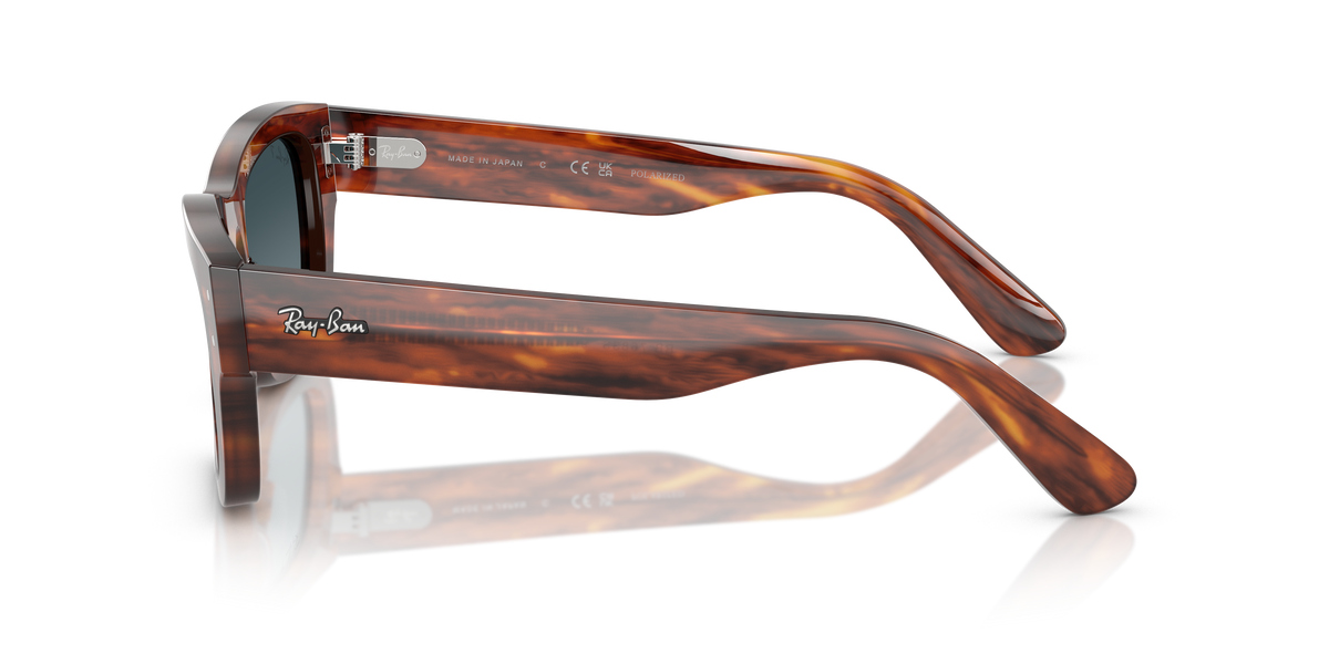 Ray-Ban Joseph RB7683S 954/S3