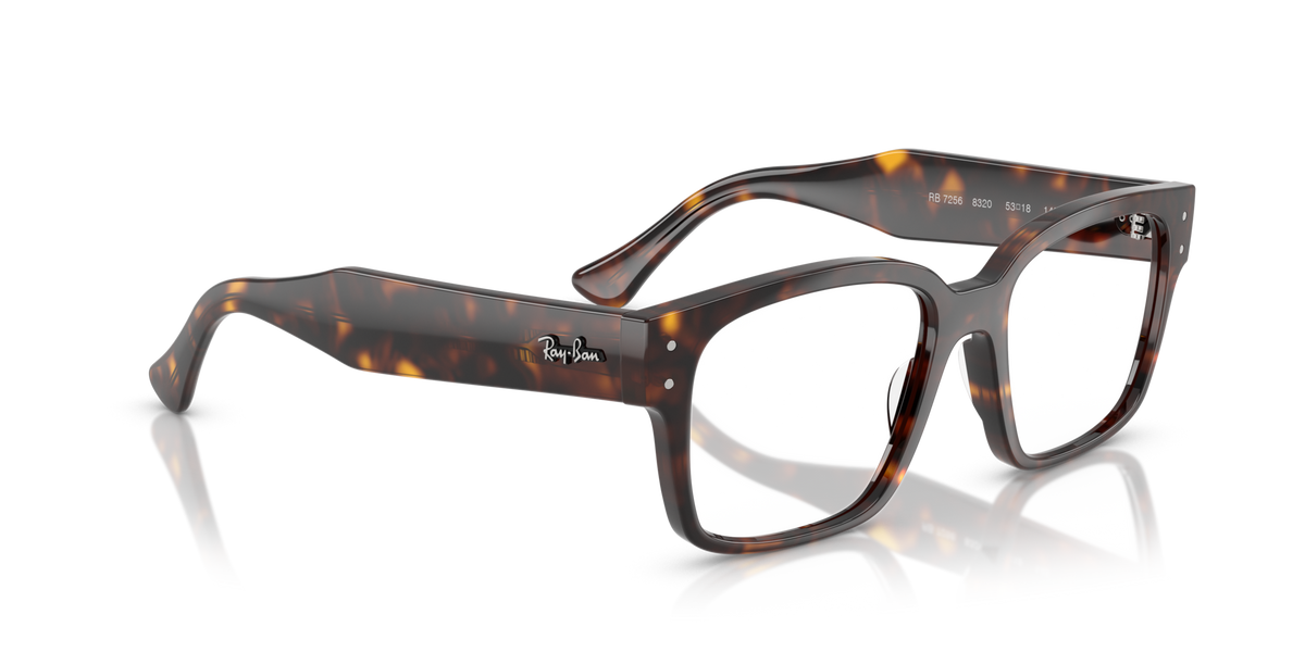 Ray-Ban Laurene RX7256 8320