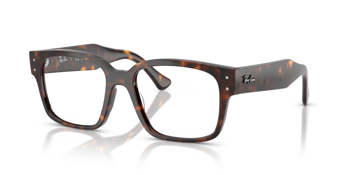 Ray-Ban Laurene RX7256 8320