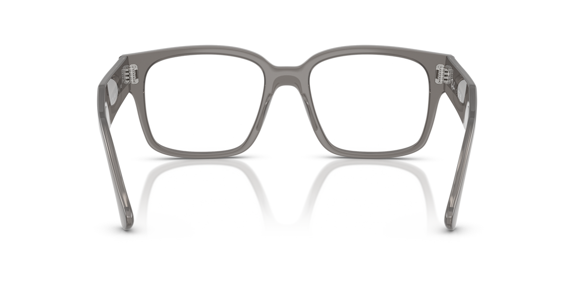 Ray-Ban Laurene RX7256 8431