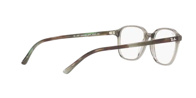 Ray-Ban Leonard RX5393 8178