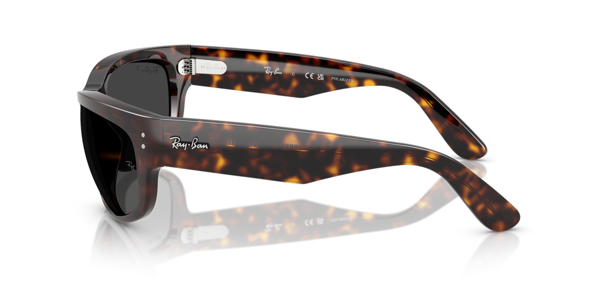 Ray-Ban Mega Balorama RB2289 902/48