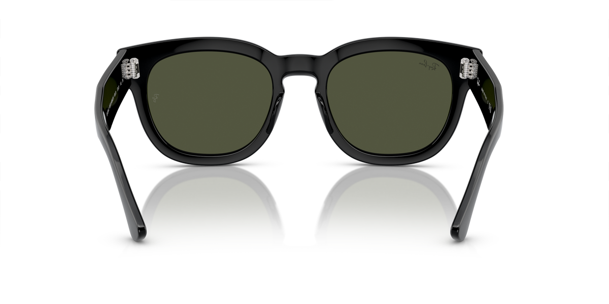 Ray-Ban Mega Hawkeye RB0298S 901/31