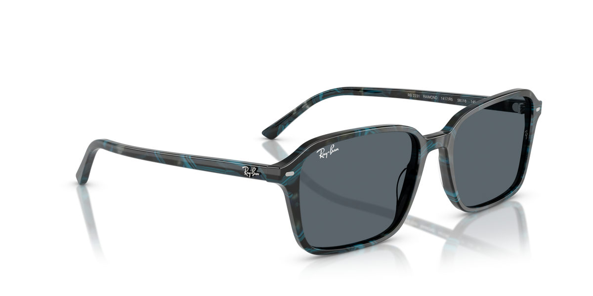 Ray-Ban Raimond RB2231 1417R5