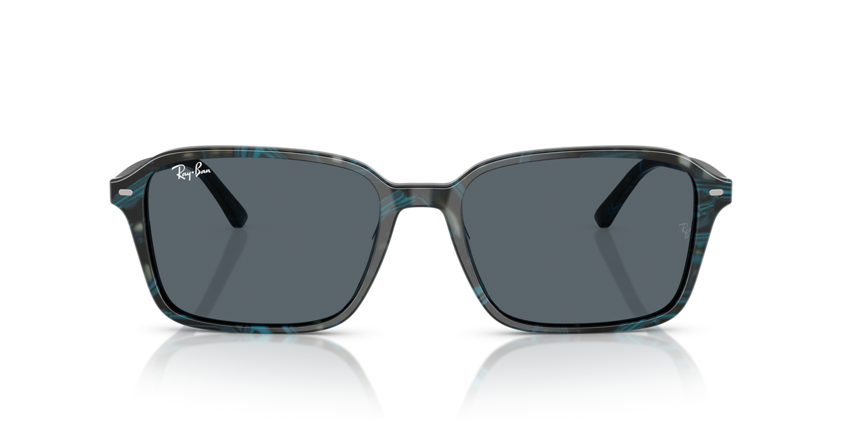 Ray-Ban Raimond RB2231 1417R5