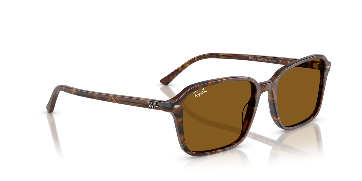 Ray-Ban Raimond RB2231 141833