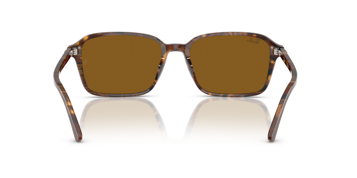Ray-Ban Raimond RB2231 141833