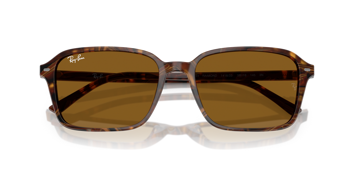 Ray-Ban Raimond RB2231 141833