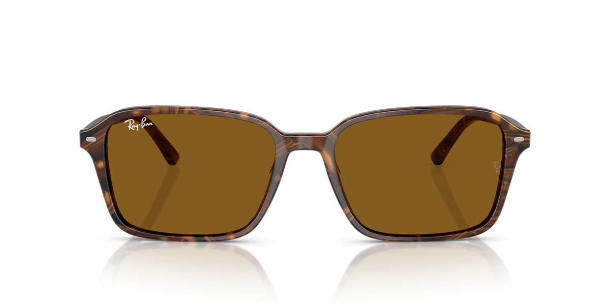 Ray-Ban Raimond RB2231 141833