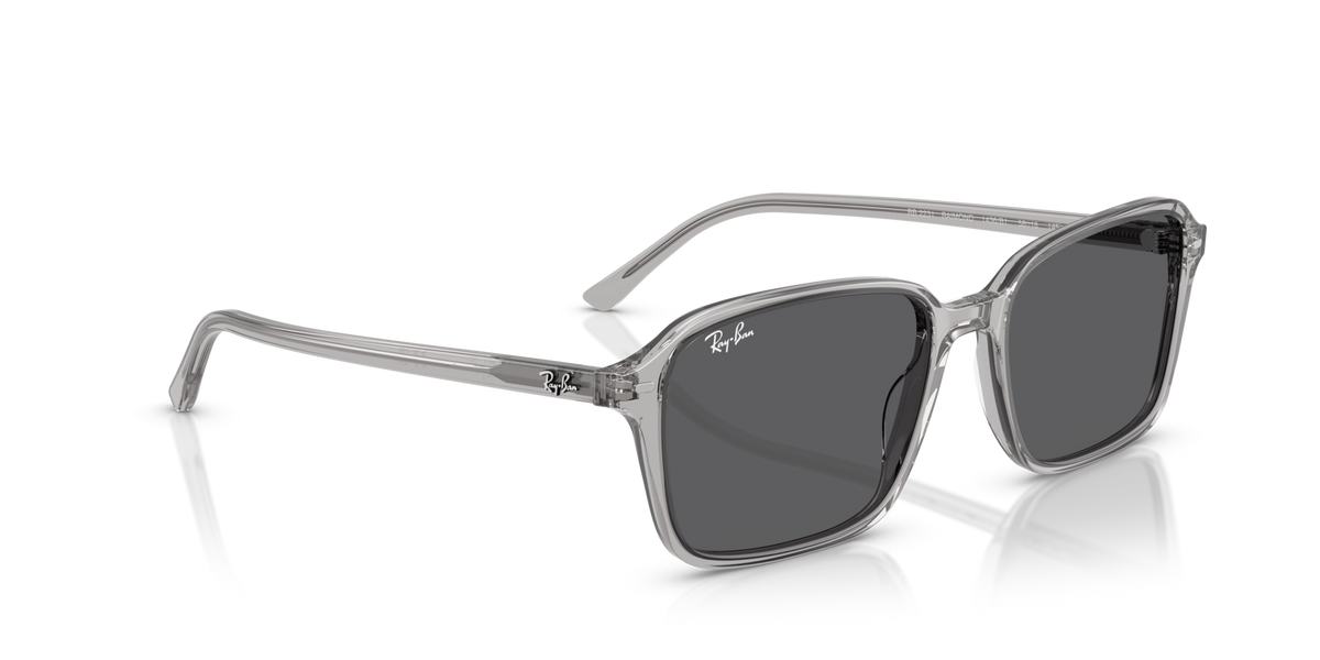 Ray-Ban Raimond RB2231 1436B1