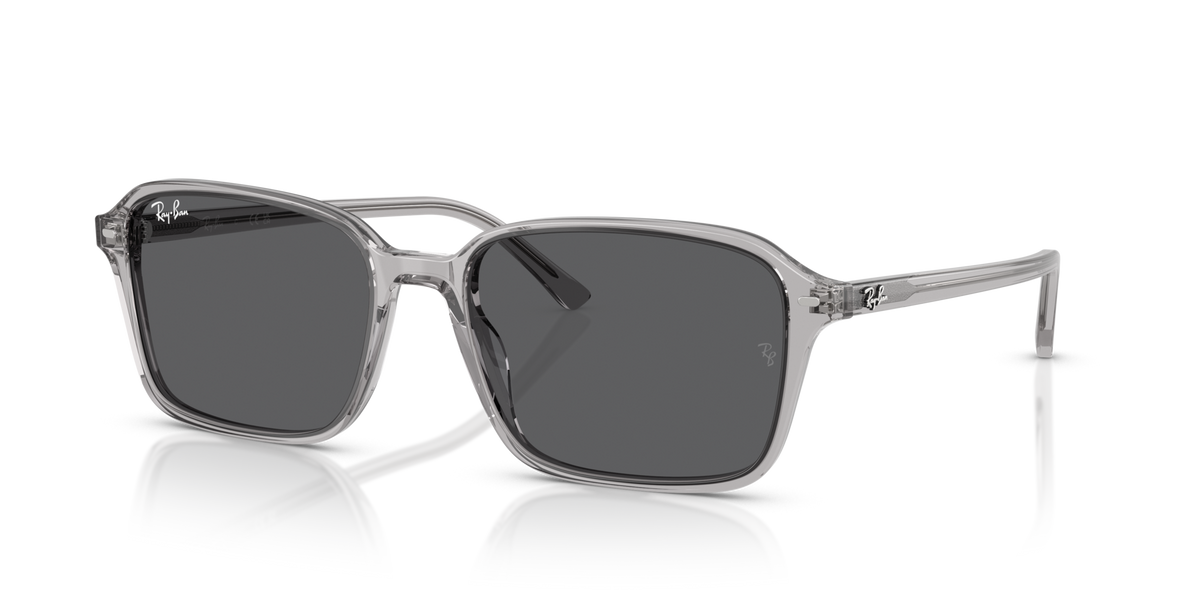 Ray-Ban Raimond RB2231 1436B1
