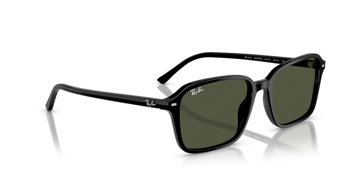 Ray-Ban Raimond RB2231 901/31