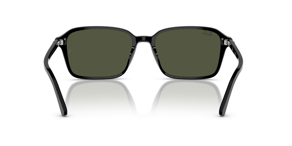 Ray-Ban Raimond RB2231 901/31