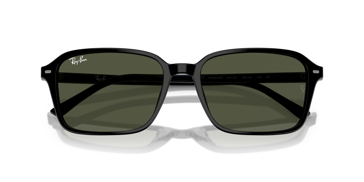 Ray-Ban Raimond RB2231 901/31