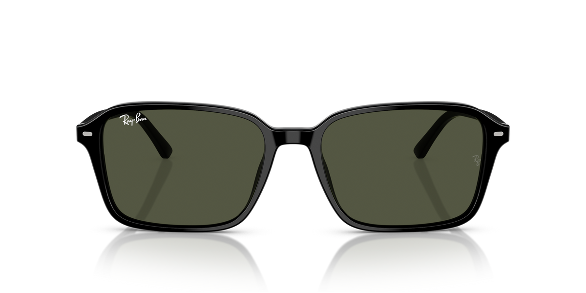 Ray-Ban Raimond RB2231 901/31