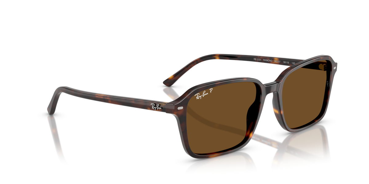 Ray-Ban Raimond RB2231 902/57