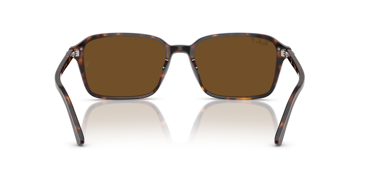 Ray-Ban Raimond RB2231 902/57