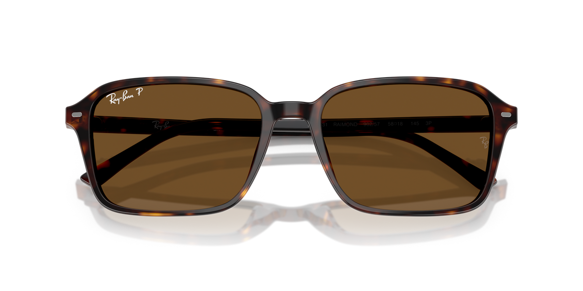 Ray-Ban Raimond RB2231 902/57