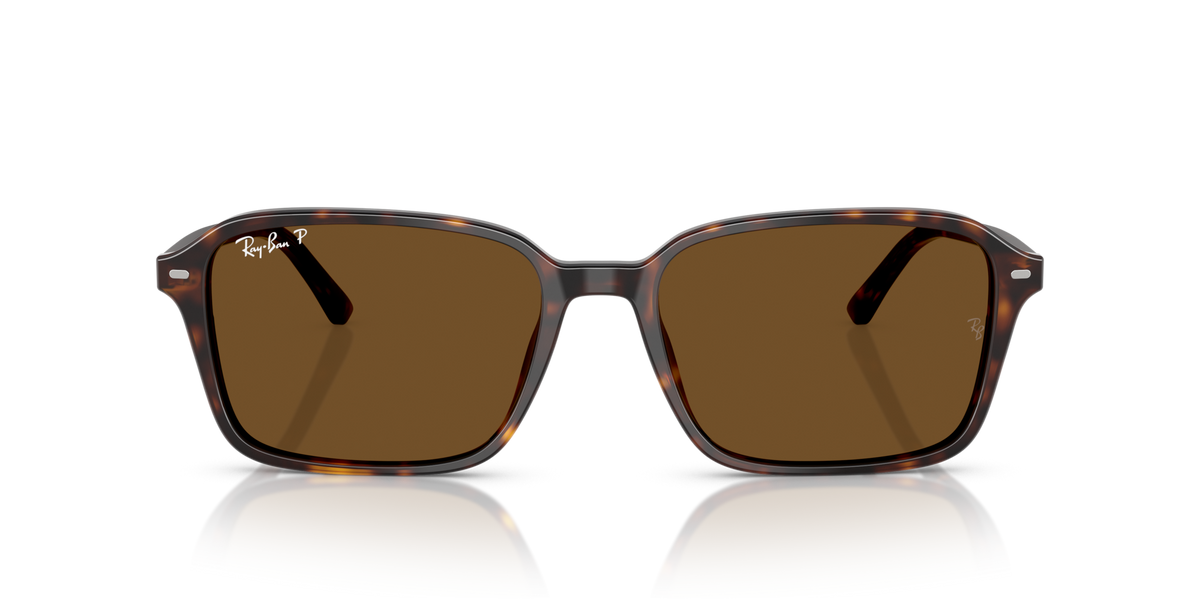 Ray-Ban Raimond RB2231 902/57
