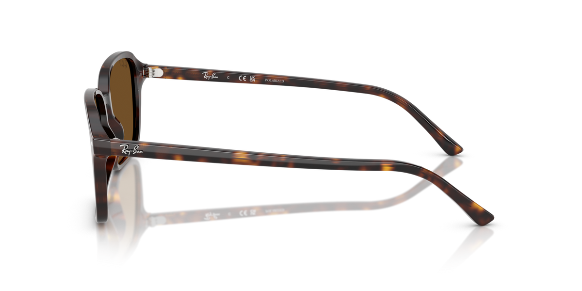 Ray-Ban Raimond RB2231 902/57