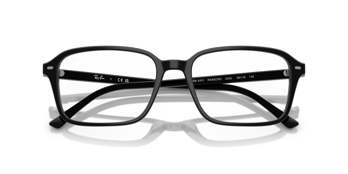 Ray-Ban Raimond RX5431 2000