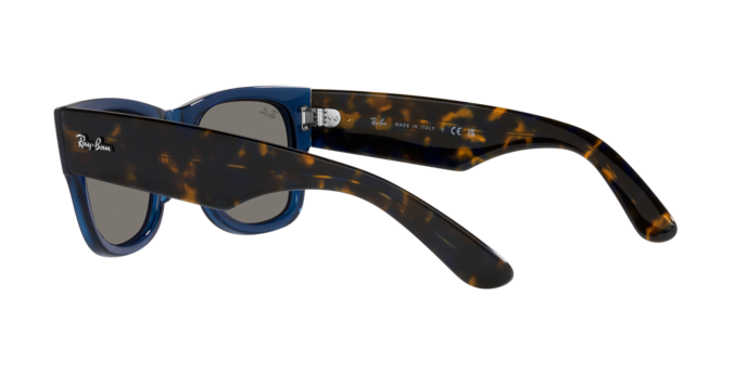 Ray-Ban Mega Wayfarer RB0840S 6638O4