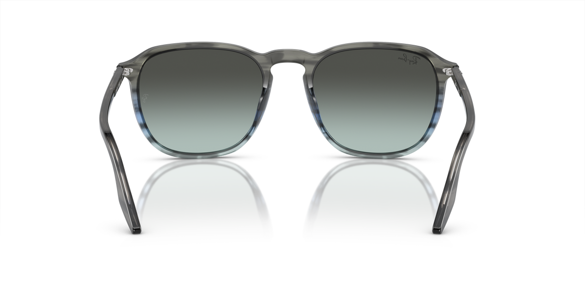Ray-Ban RB2203 1391GK
