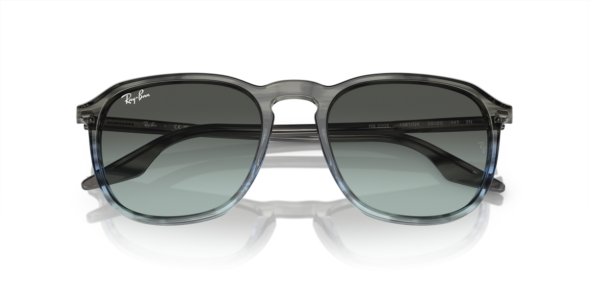 Ray-Ban RB2203 1391GK