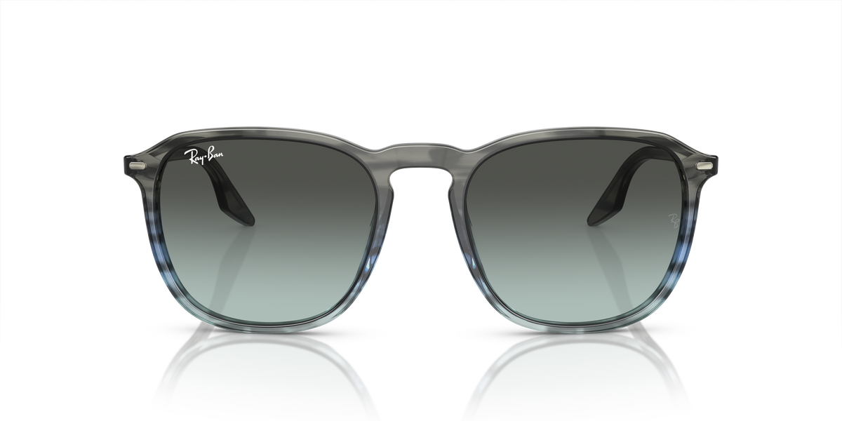 Ray-Ban RB2203 1391GK