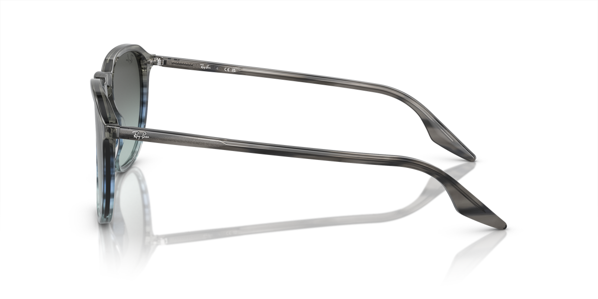 Ray-Ban RB2203 1391GK