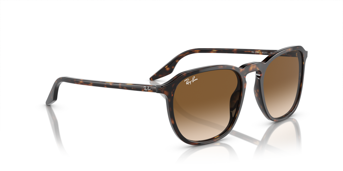 Ray-Ban RB2203 902/51