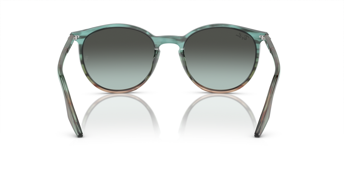 Ray-Ban RB2204 1394GK