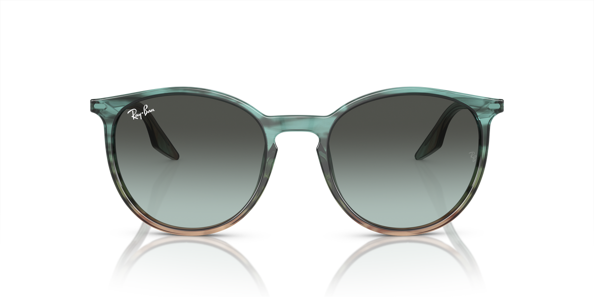 Ray-Ban RB2204 1394GK