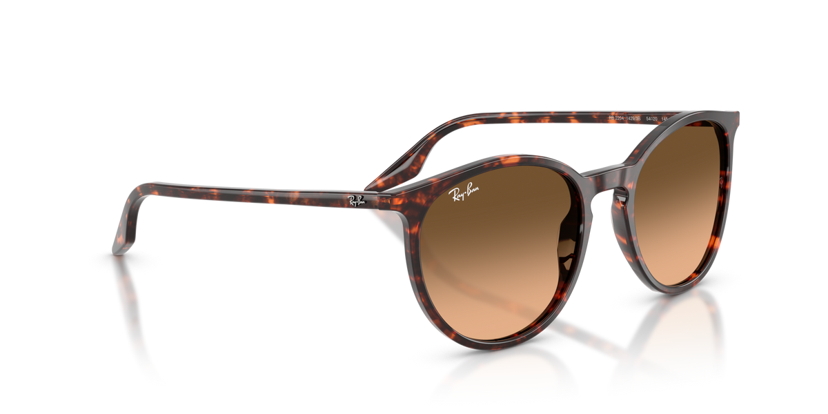 Ray-Ban RB2204 14293B