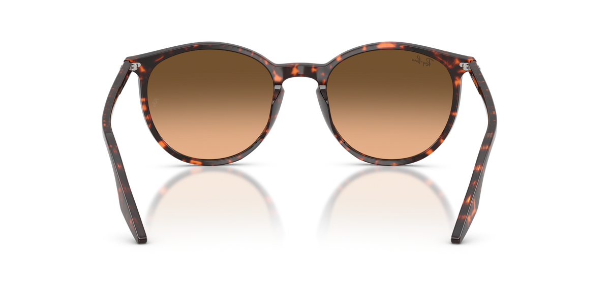 Ray-Ban RB2204 14293B