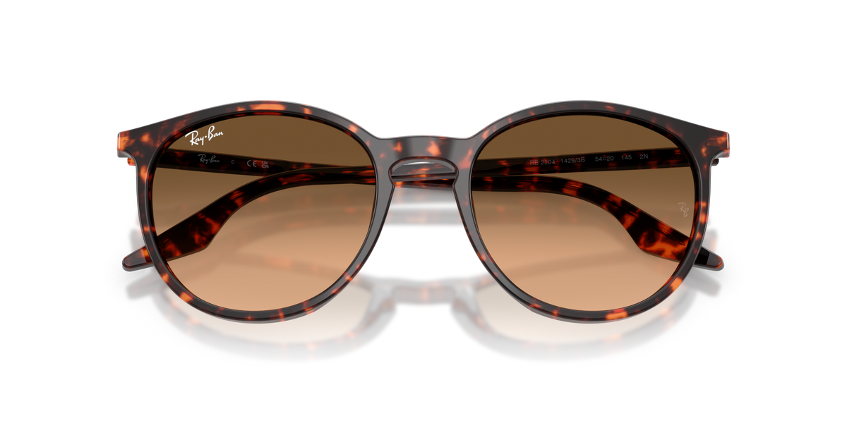 Ray-Ban RB2204 14293B