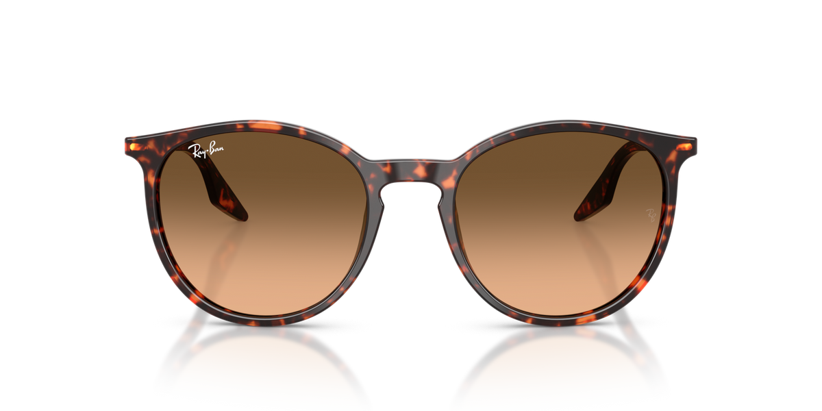 Ray-Ban RB2204 14293B