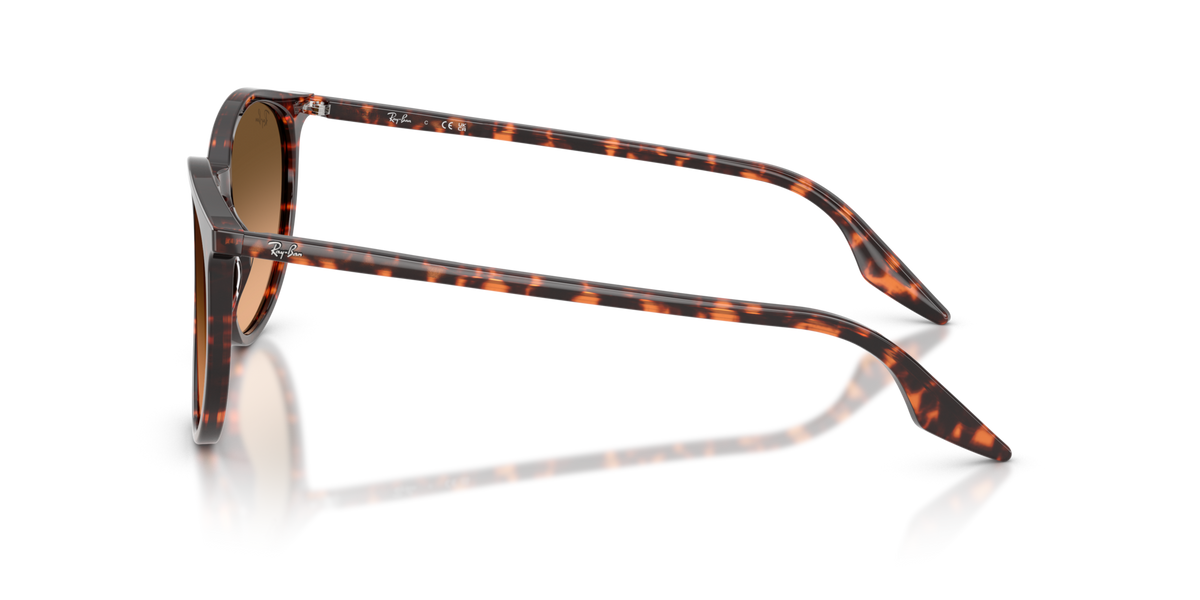 Ray-Ban RB2204 14293B