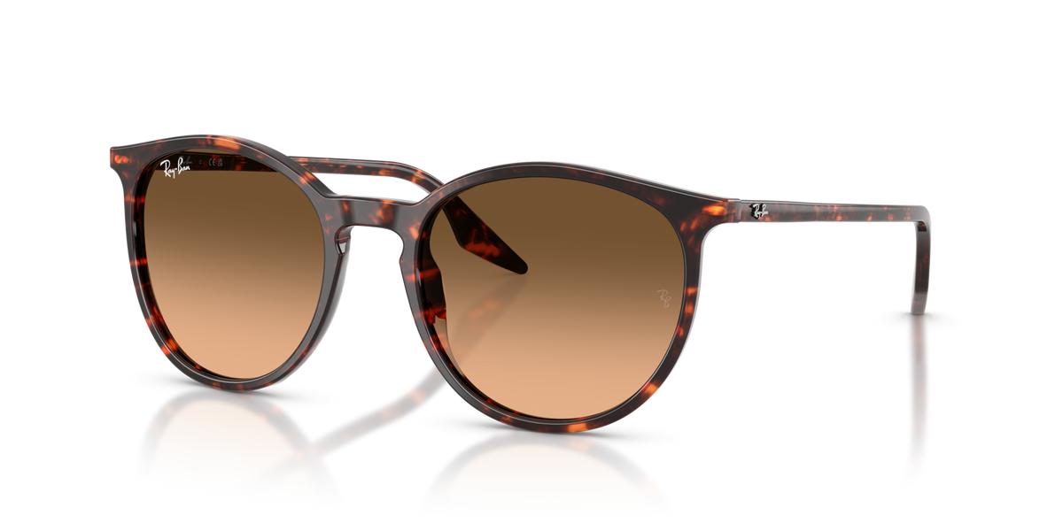 Ray-Ban RB2204 14293B