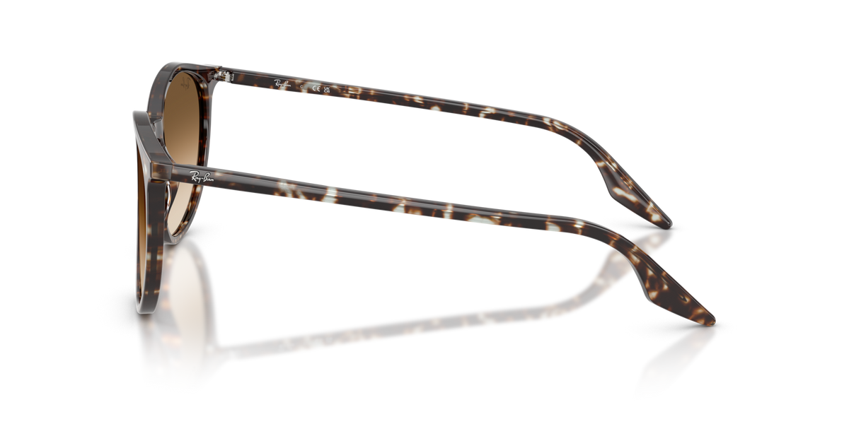 Ray-Ban RB2204 143151