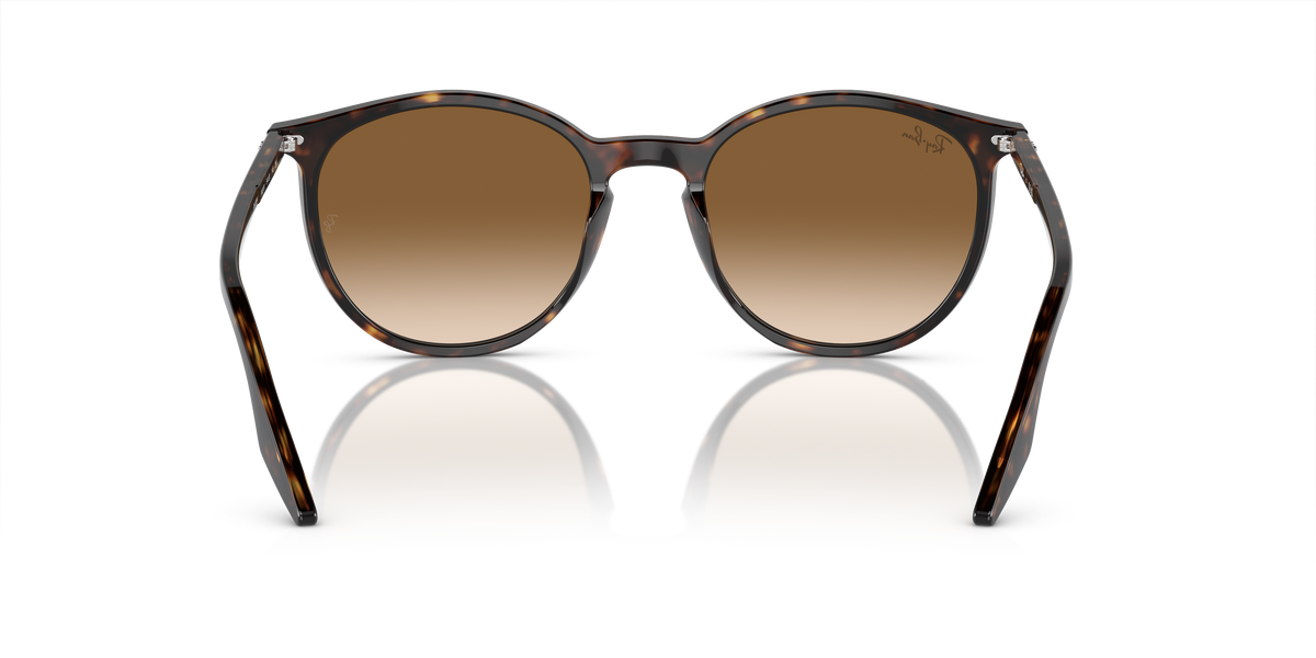 Ray-Ban RB2204 902/51