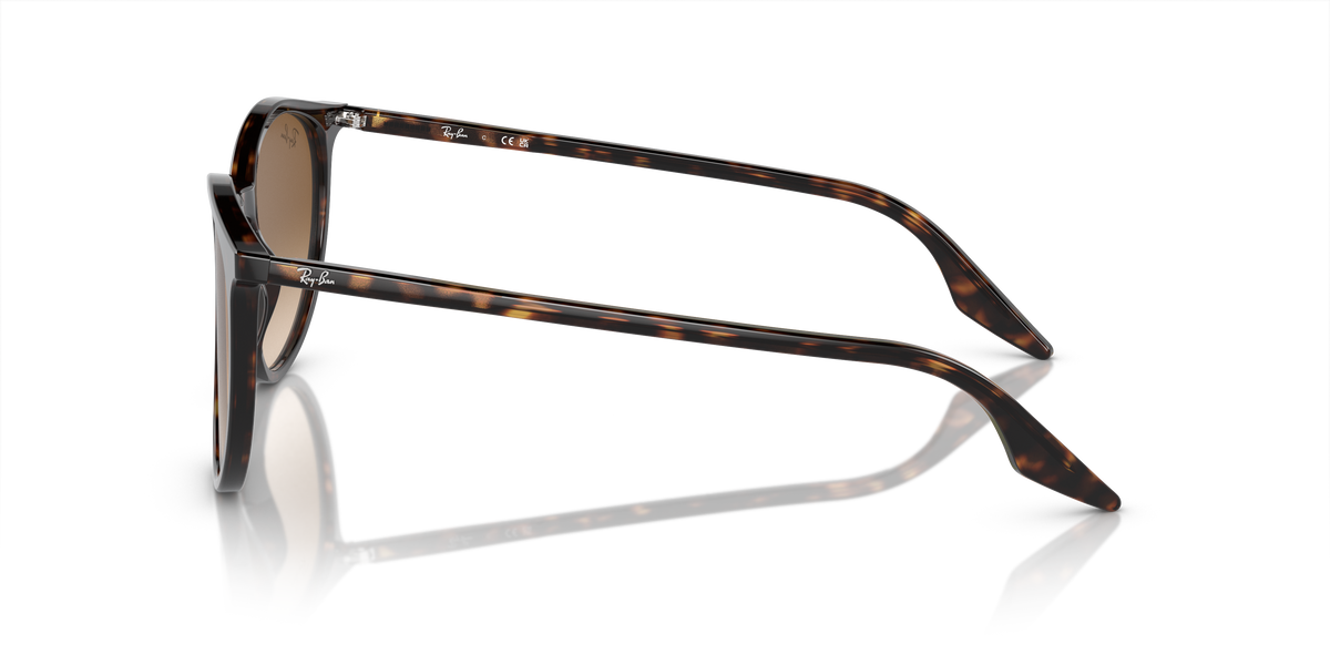 Ray-Ban RB2204 902/51