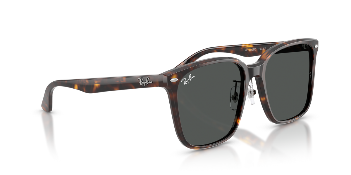 Ray-Ban RB2206D 710/87