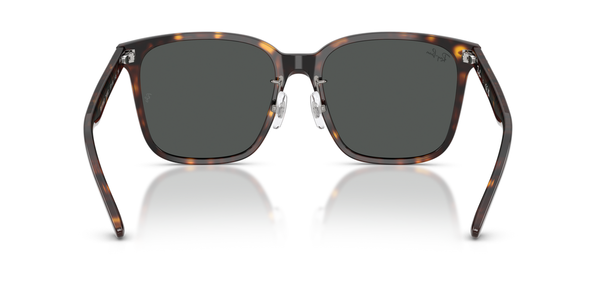 Ray-Ban RB2206D 710/87