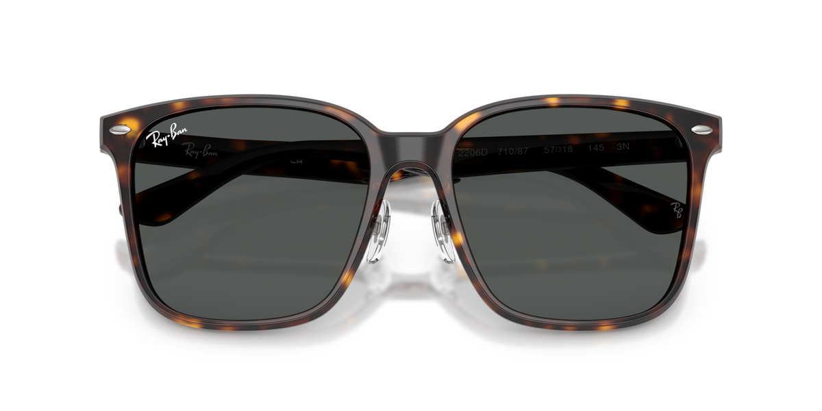 Ray-Ban RB2206D 710/87