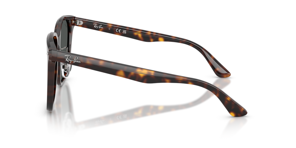 Ray-Ban RB2206D 710/87