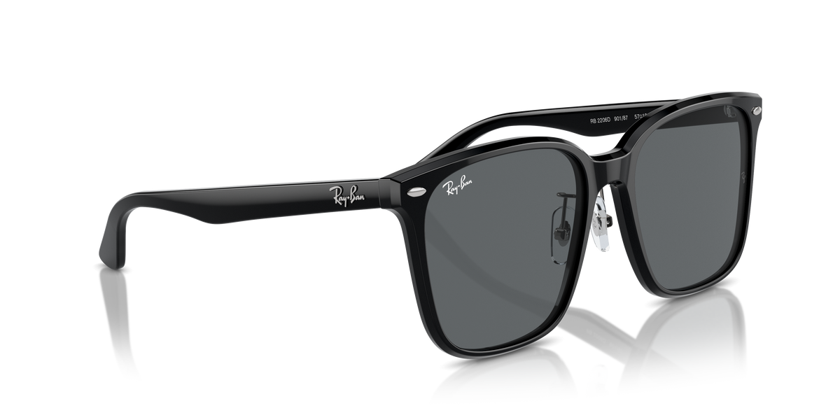 Ray-Ban RB2206D 901/87